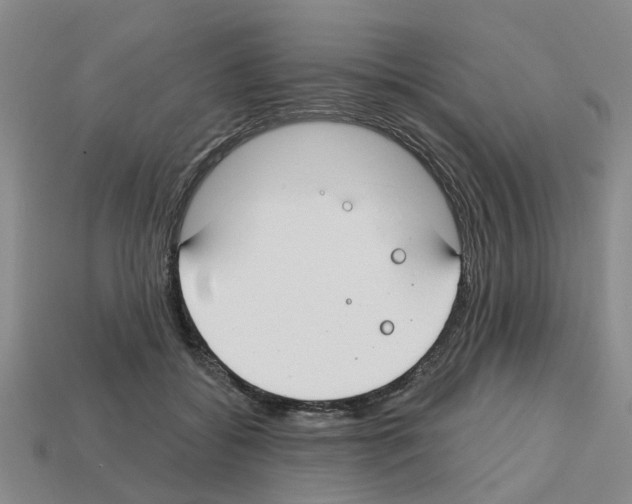 X0000112800556200910021122