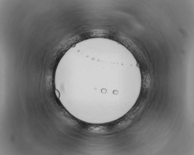 X0000112800557200910021122
