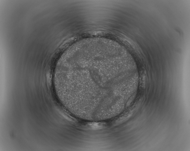 X0000112800558200910021122