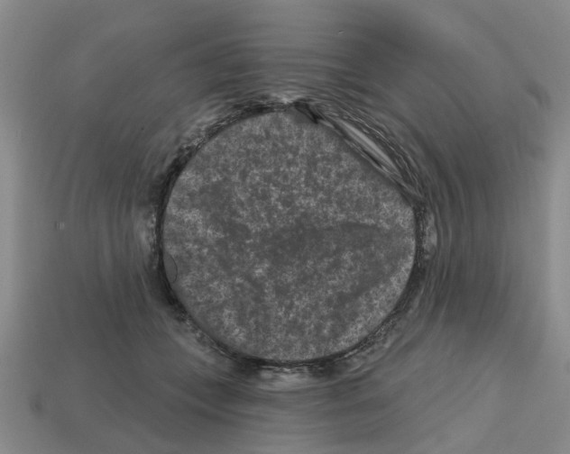 X0000112800559200910021122