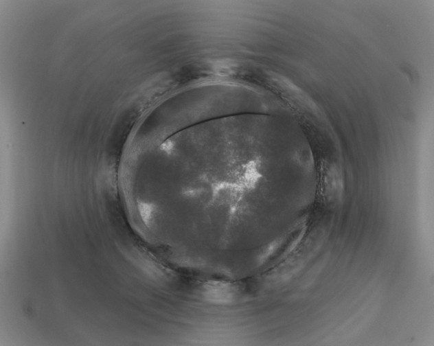 X0000112800562200910021122