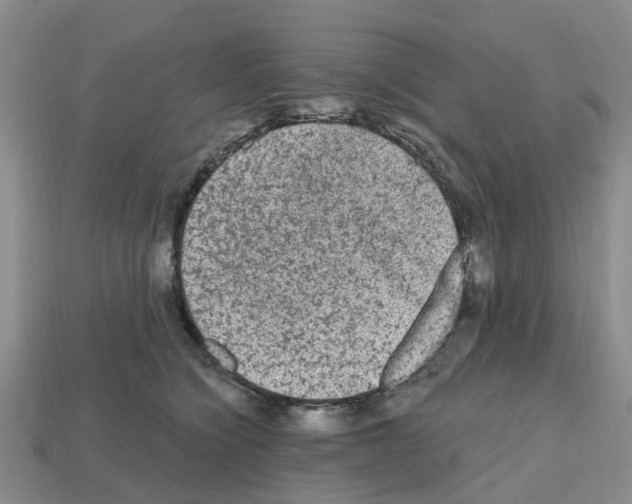 X0000112800564200910021122
