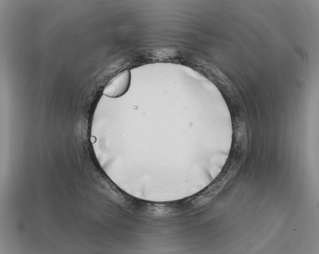 X0000112800565200910021122