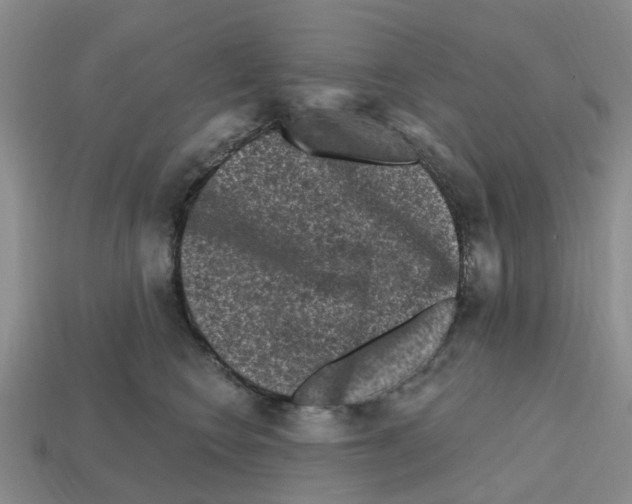 X0000112800566200910021122
