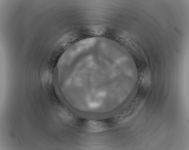 X0000112800568200910021122