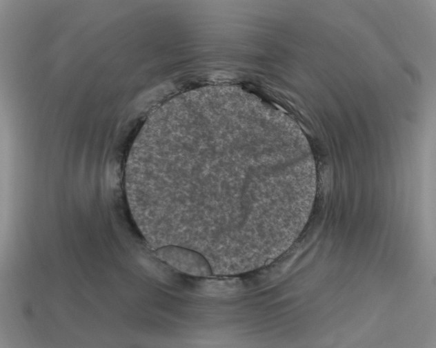 X0000112800571200910021122