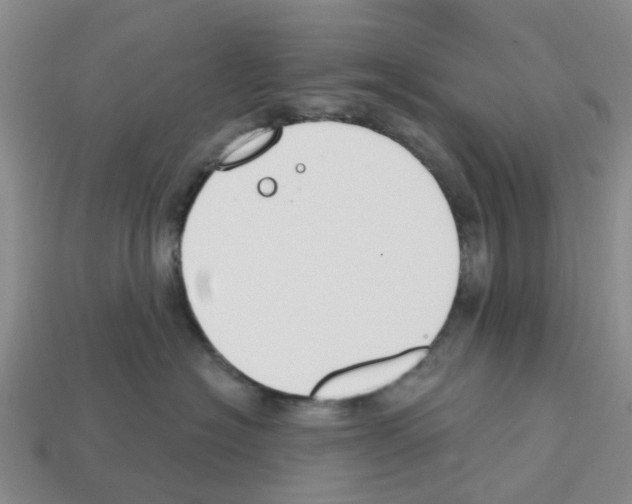 X0000112800574200910021122