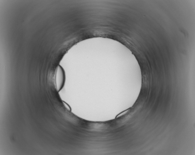 X0000112800575200910021122