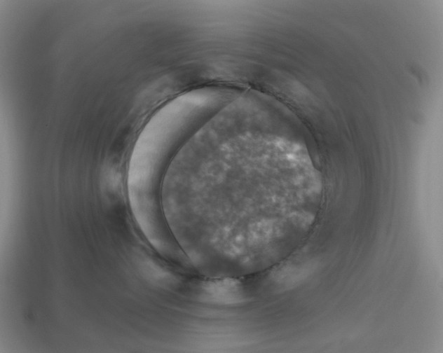 X0000112800576200910021122