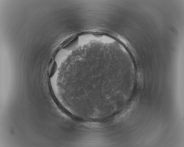 X0000112800577200910021122