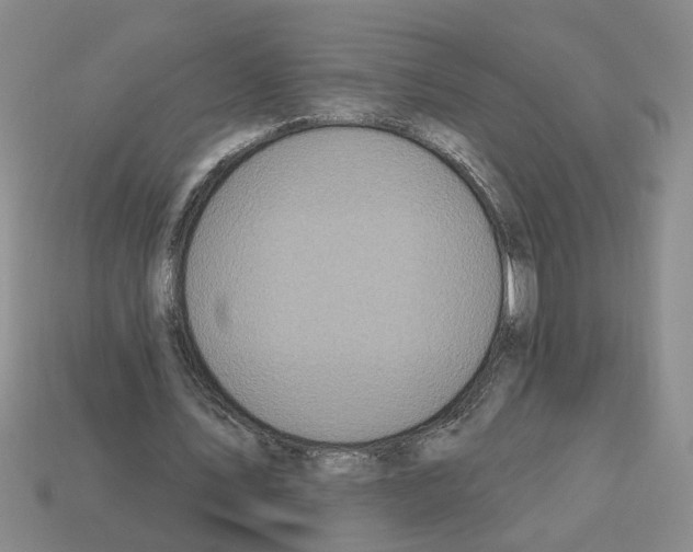 X0000112800579200910021122
