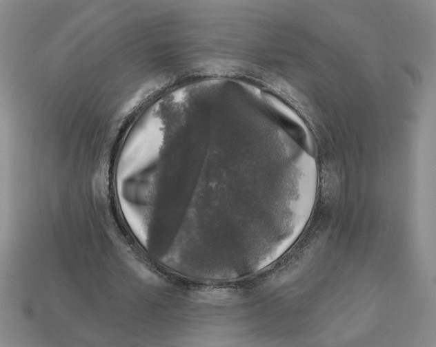 X0000112800581200910021122