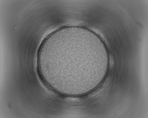 X0000112800582200910021122