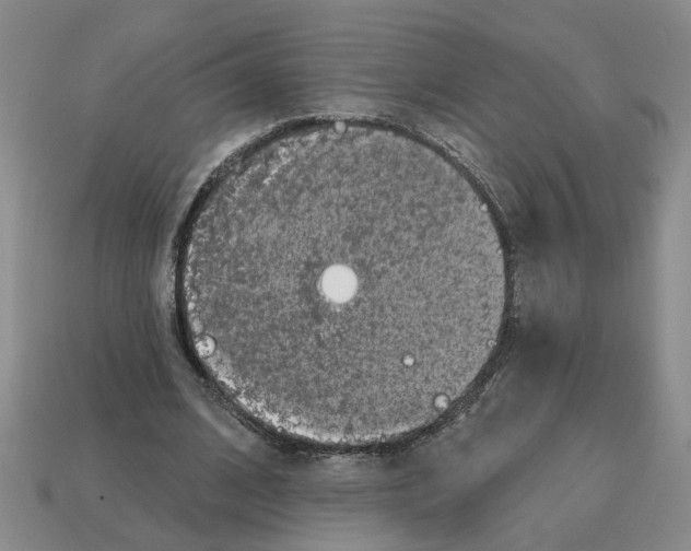 X0000112800584200910021122