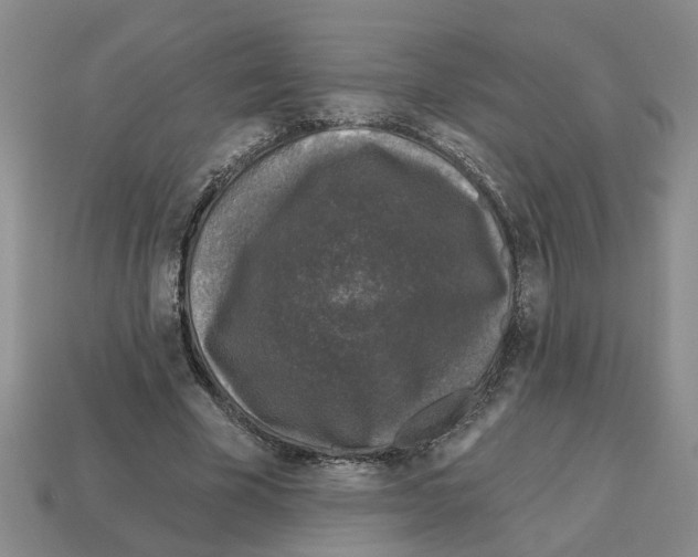 X0000112800585200910021122