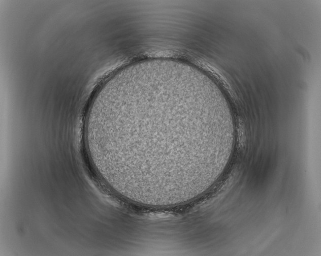 X0000112800586200910021122