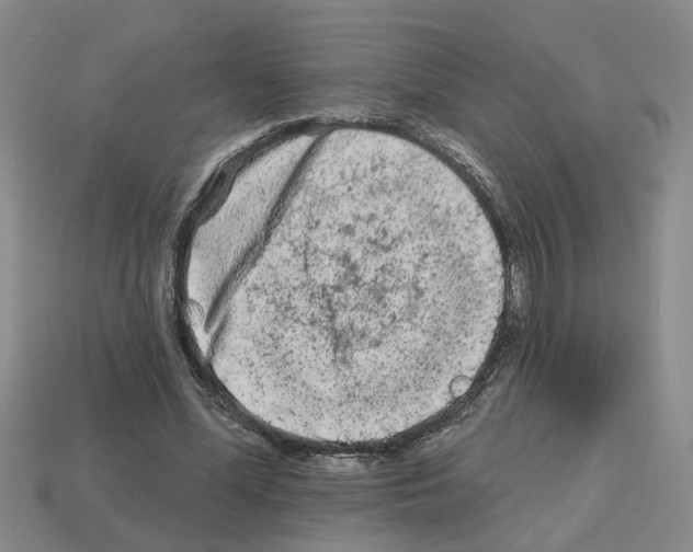 X0000112800588200910021122