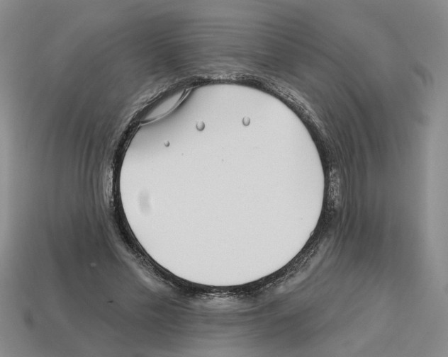 X0000112800589200910021122
