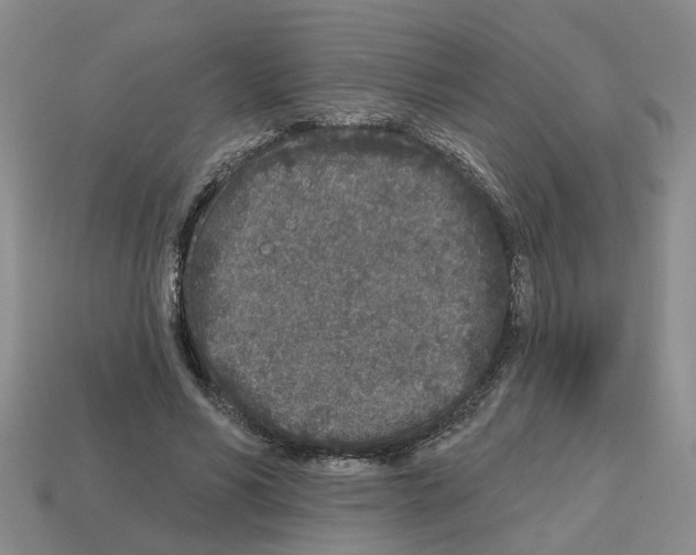 X0000112800590200910021122