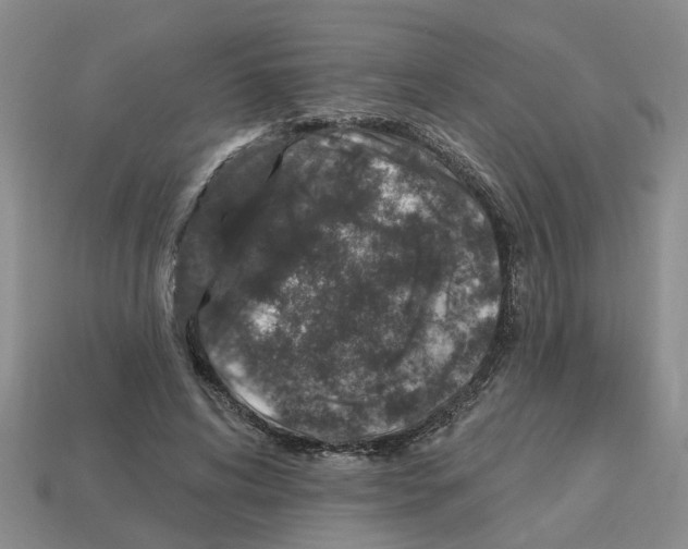 X0000112800592200910021122