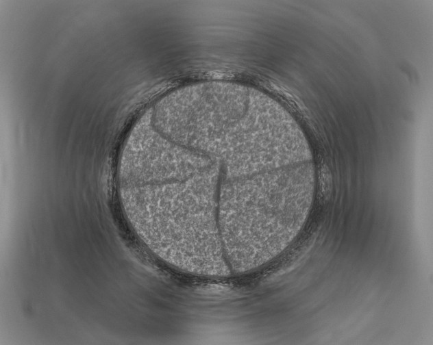 X0000112800594200910021121