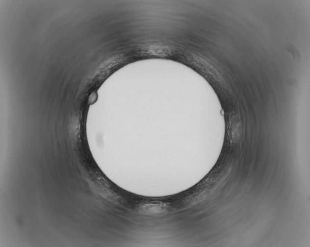 X0000112800595200910021121
