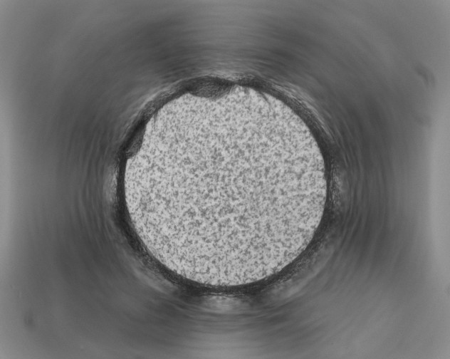 X0000112800596200910021121