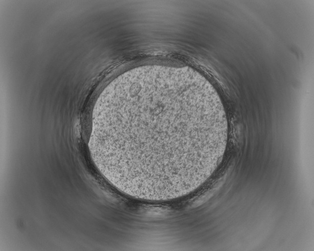 X0000112800597200910021121