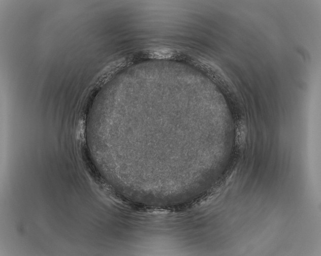 X0000112800598200910021121