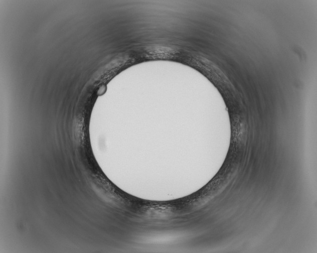X0000112800599200910021121