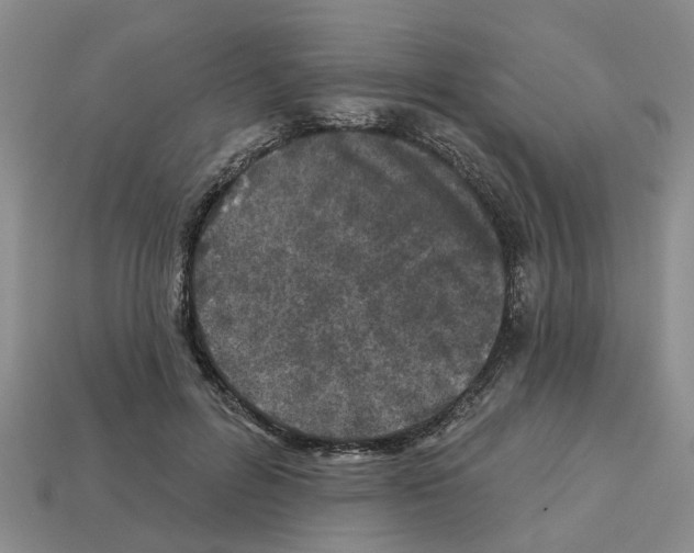X0000112800600200910021121