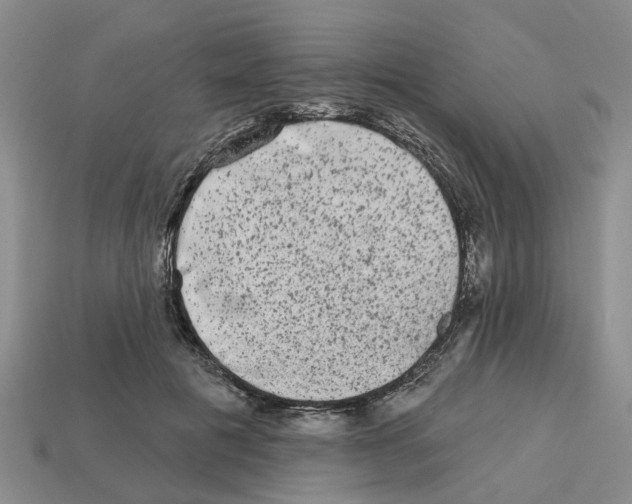 X0000112800601200910021121