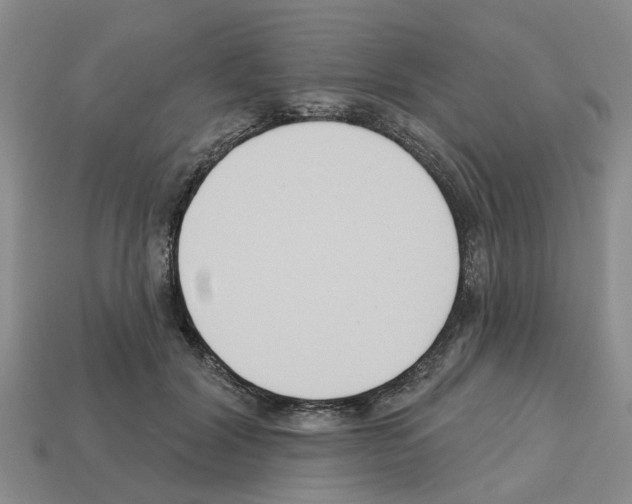 X0000112800604200910021121
