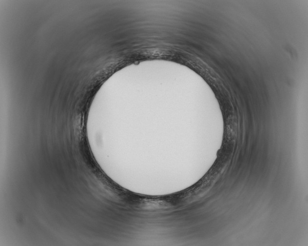X0000112800605200910021121