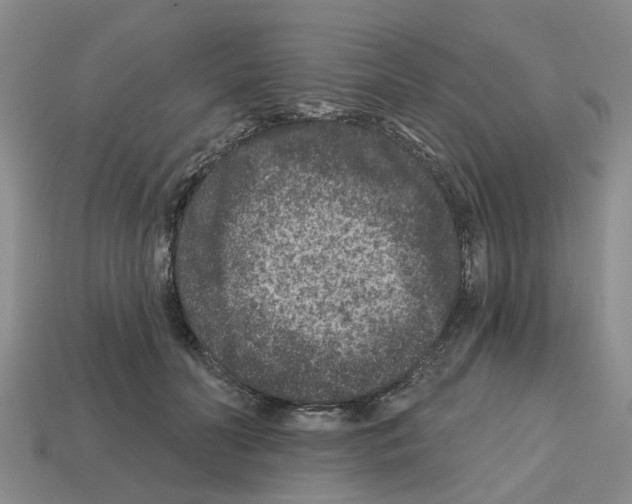 X0000112800606200910021121