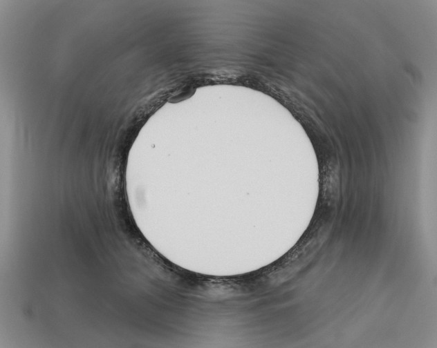 X0000112800608200910021121
