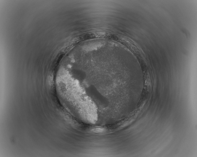 X0000112800610200910021121