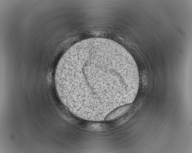 X0000112800611200910021121