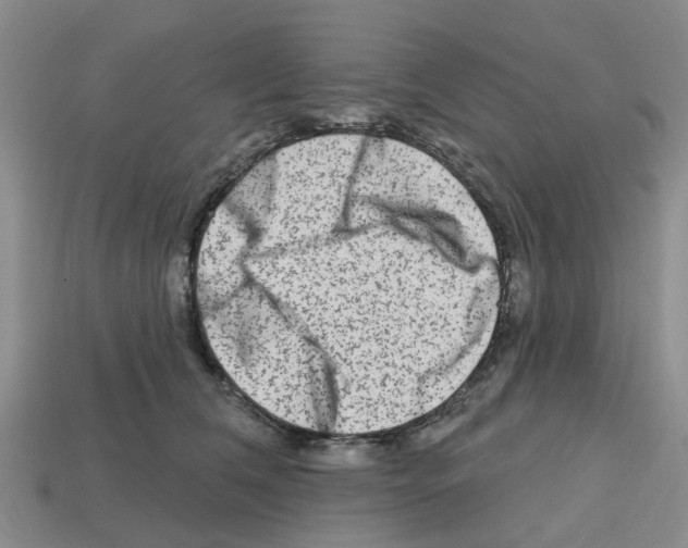 X0000112800612200910021121