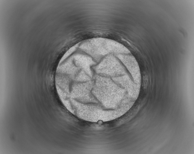 X0000112800613200910021121