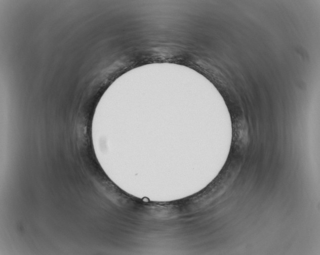 X0000112800615200910021121