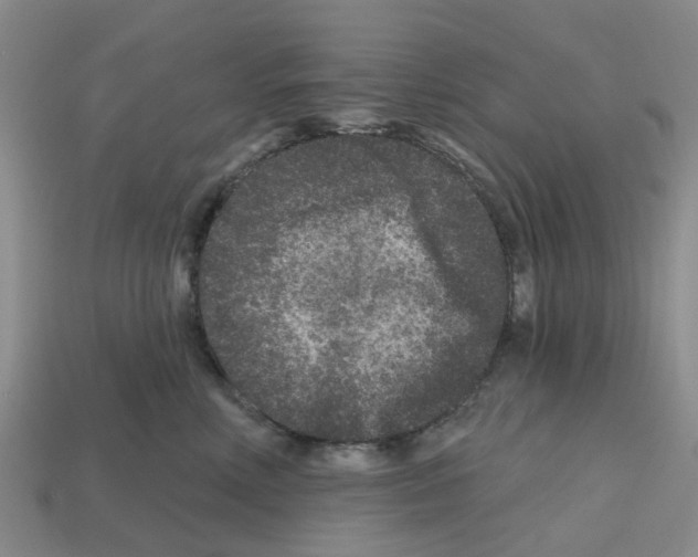 X0000112800618200910021121