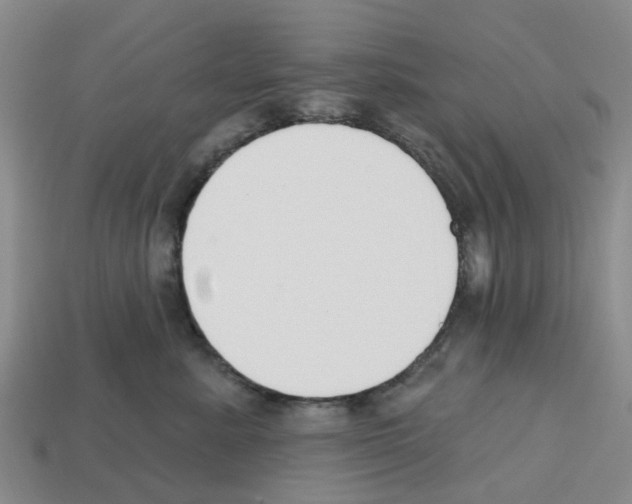 X0000112800619200910021121