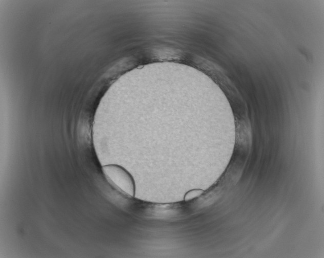 X0000112800622200910021121