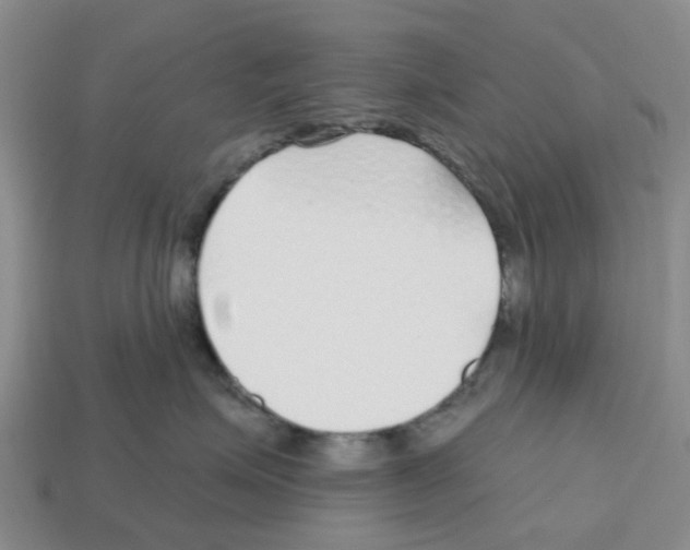 X0000112800623200910021121