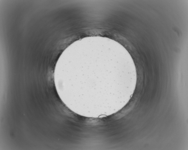 X0000112800624200910021121