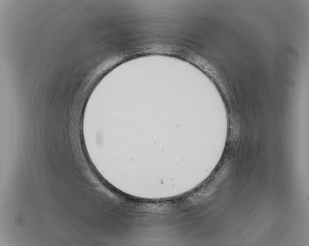 X0000112800625200910021120