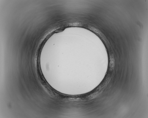 X0000112800626200910021120