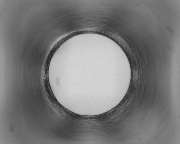X0000112800628200910021121
