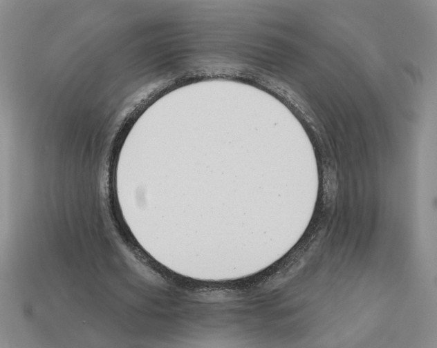 X0000112800629200910021121